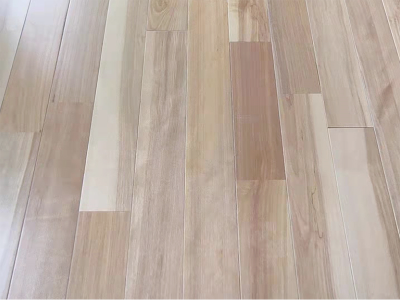 微信截圖_20221119152527 拷貝